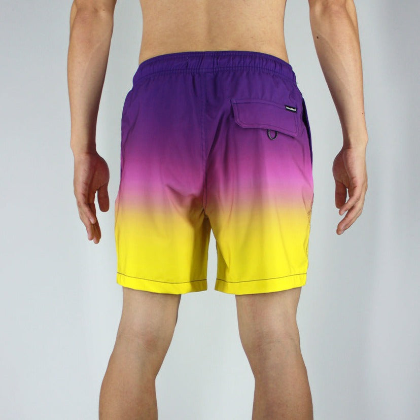 6“ Stretch Printed Volley Shorts Islandhaze