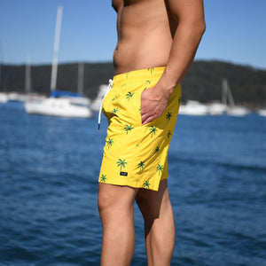 islandhaze mens swim shorts