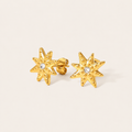18K Gold Stainless Steel Crescent Moon CZ Studs