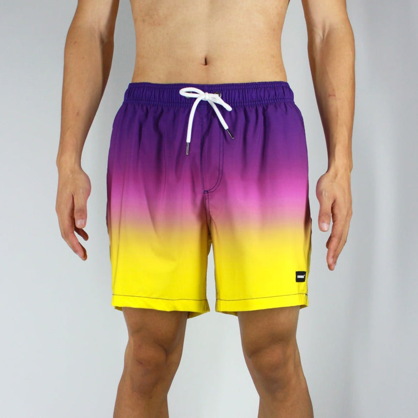 6“ Stretch Printed Volley Shorts Islandhaze