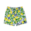 6“ Stretch Printed Volley Shorts-ALDERNEY